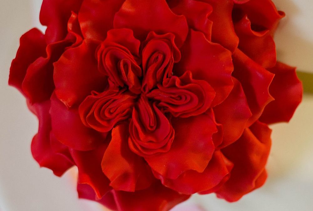 Hochzeit mit roten Rosen
