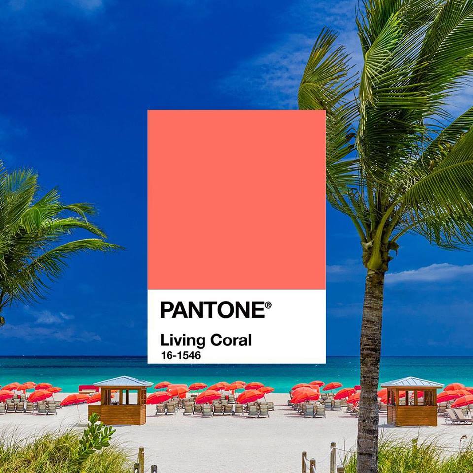 pantone living coral color of the year 2019