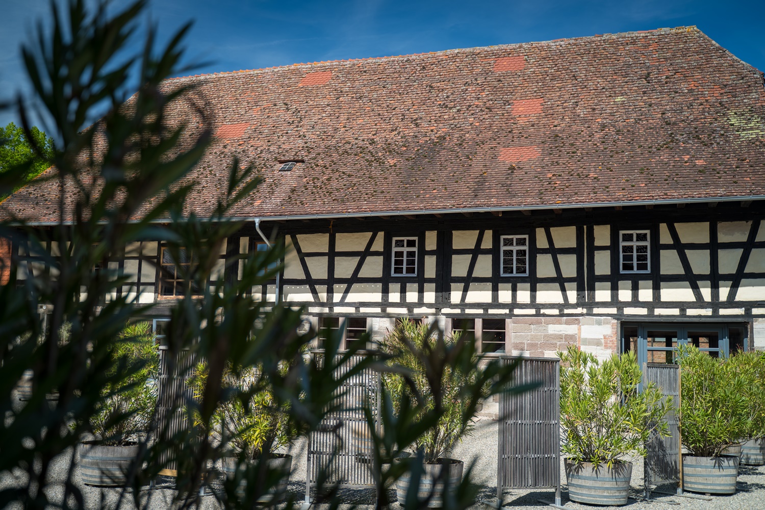 steinbachhof-hochzeit-001 Fachwerkhaus Steinbachhof Vaihingen